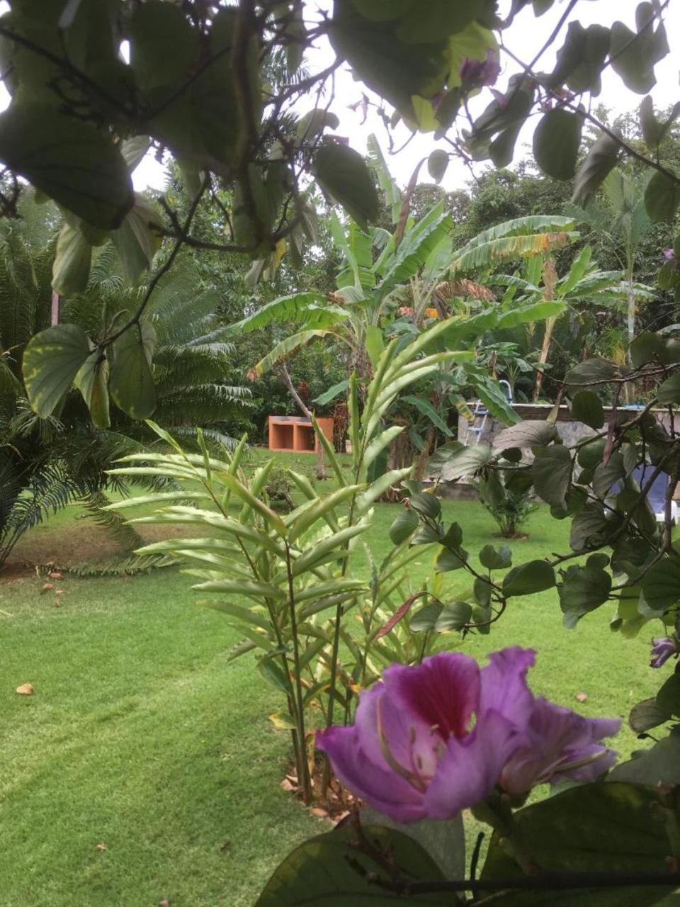 Labellaventura Villa Las Galeras Kültér fotó